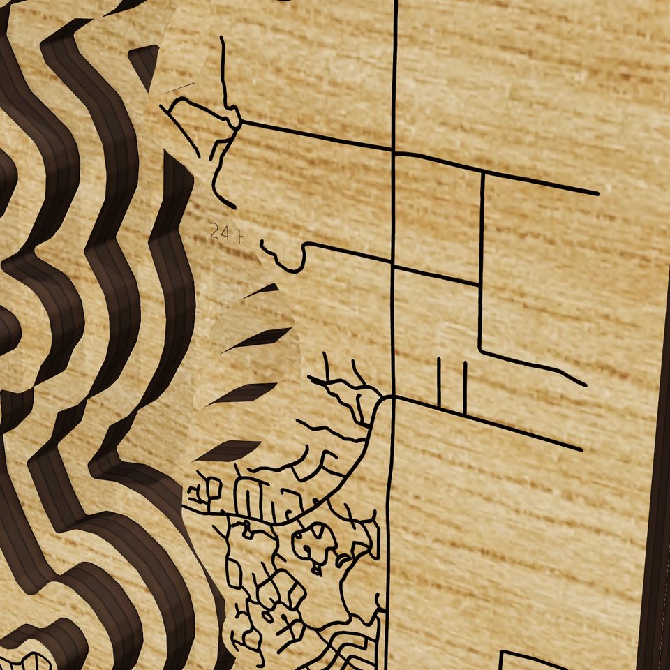 Lake Palestine 3D wood map, detail view