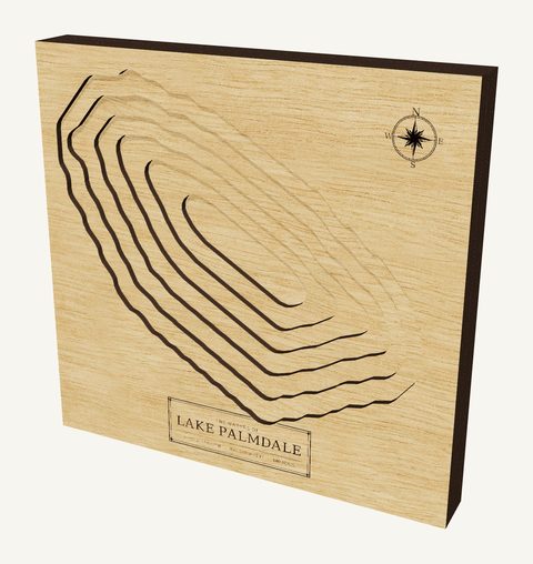 Lake Palmdale wood map