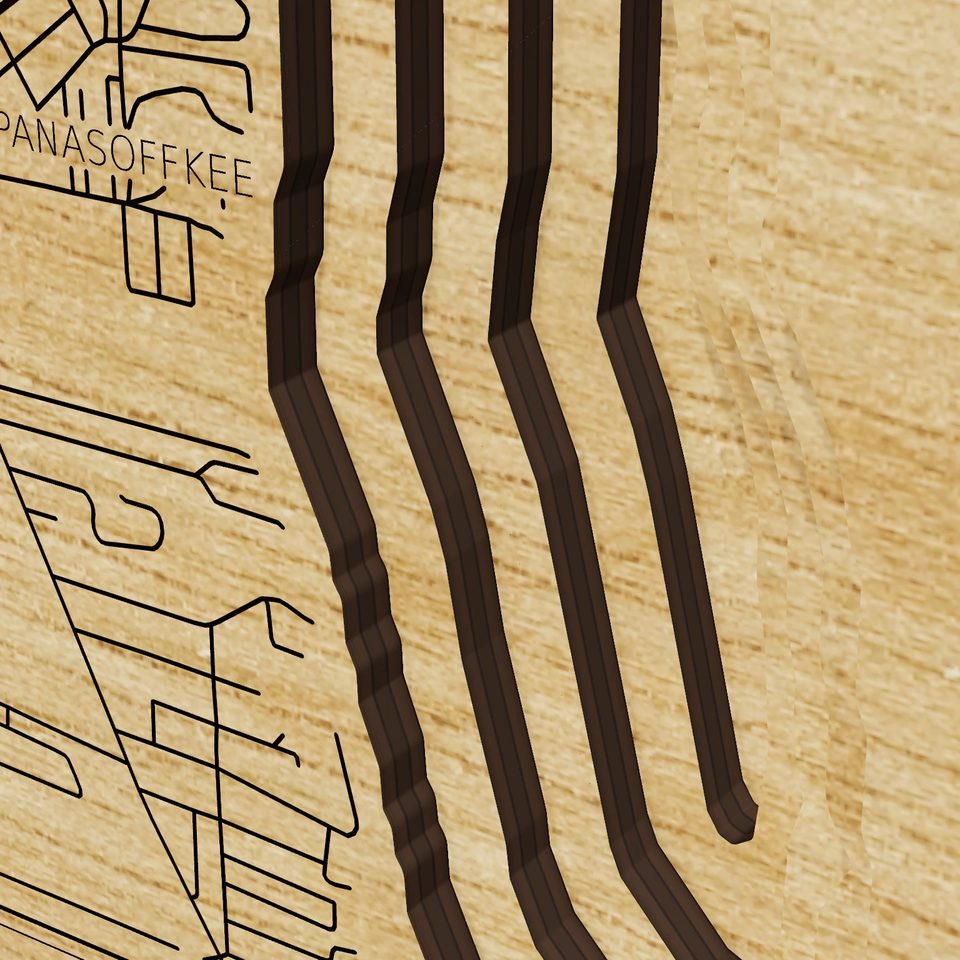 Lake Panasoffkee 3D wood map, detail view