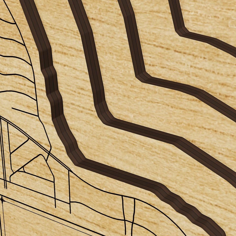 Lake Parker 3D wood map, detail view