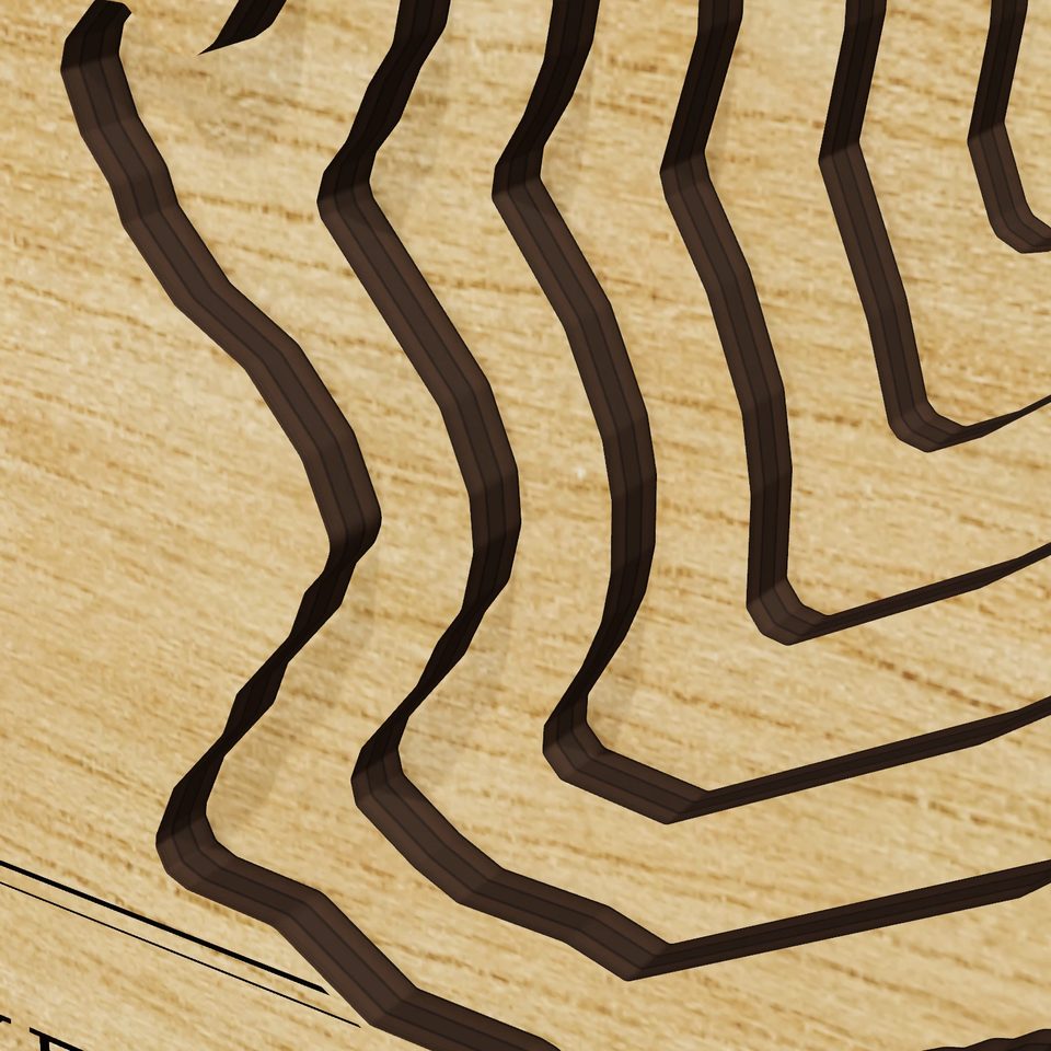 Lake Pat Cleburne 3D wood map, detail view