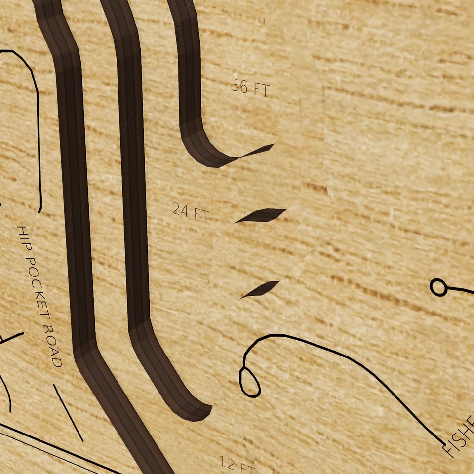 Lake Peachtree 3D wood map, detail view