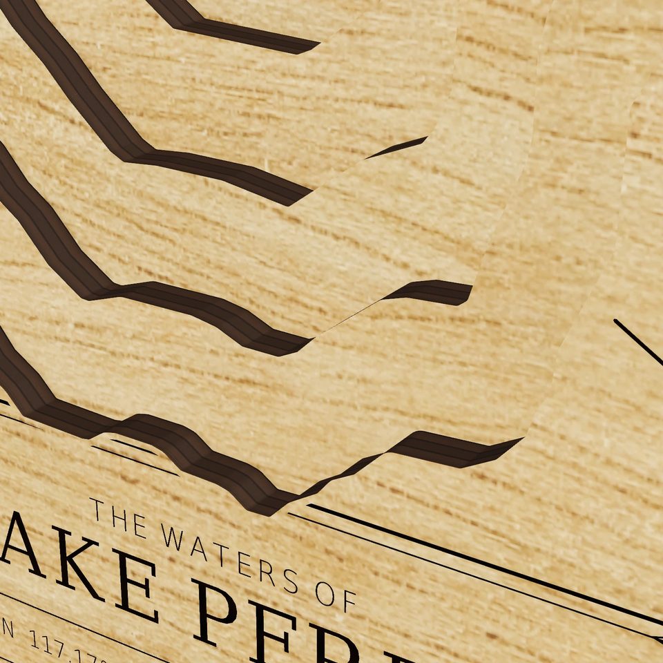 Lake Perris 3D wood map, detail view