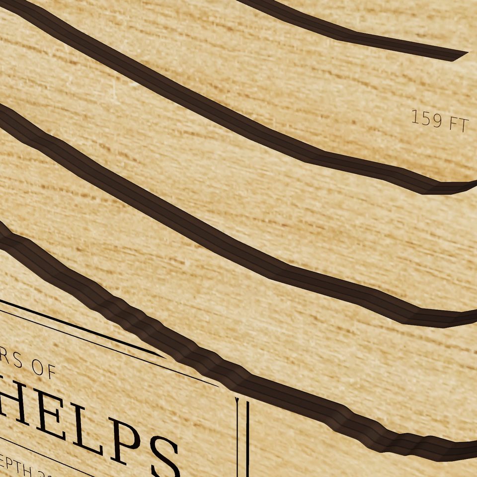 Lake Phelps 3D wood map, detail view