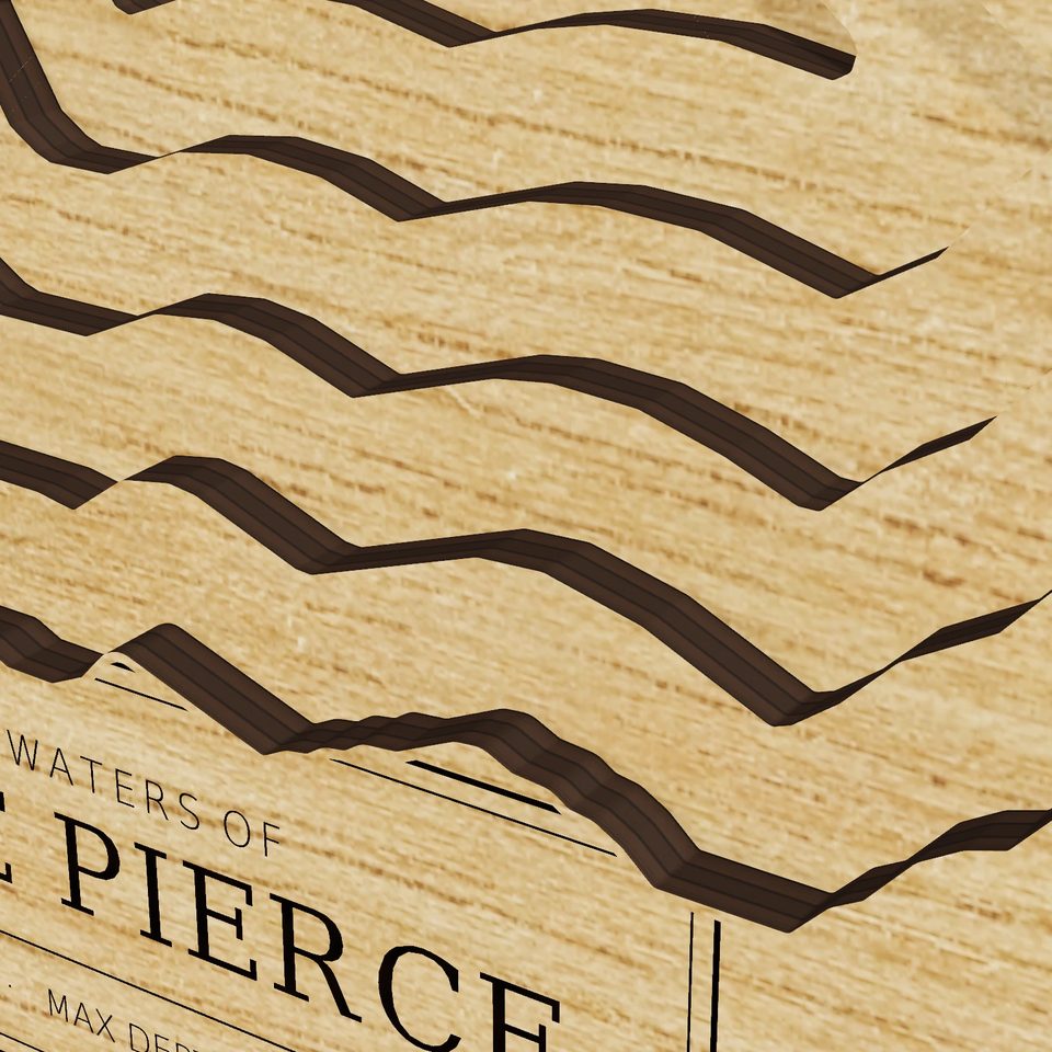 Lake Pierce 3D wood map, detail view