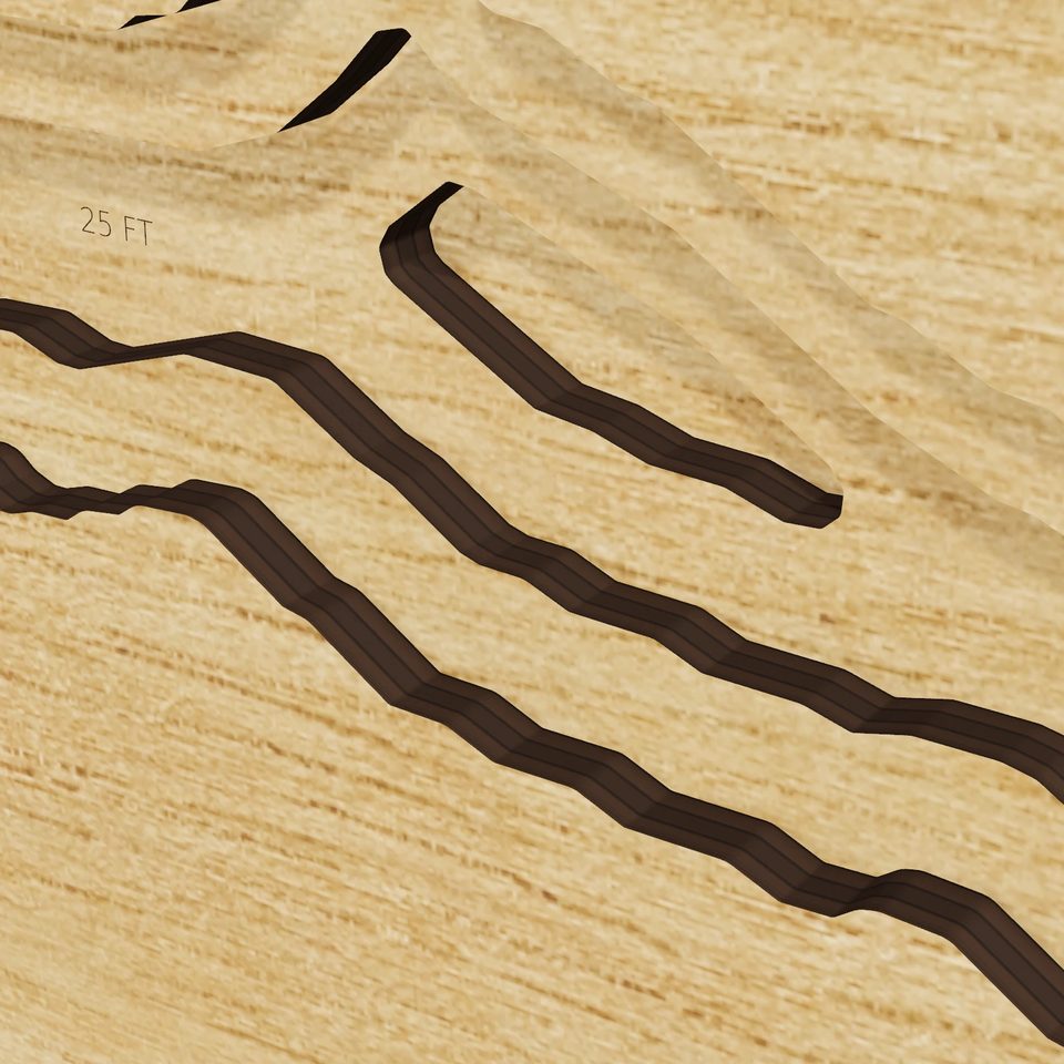 Lake Pillsbury 3D wood map, detail view