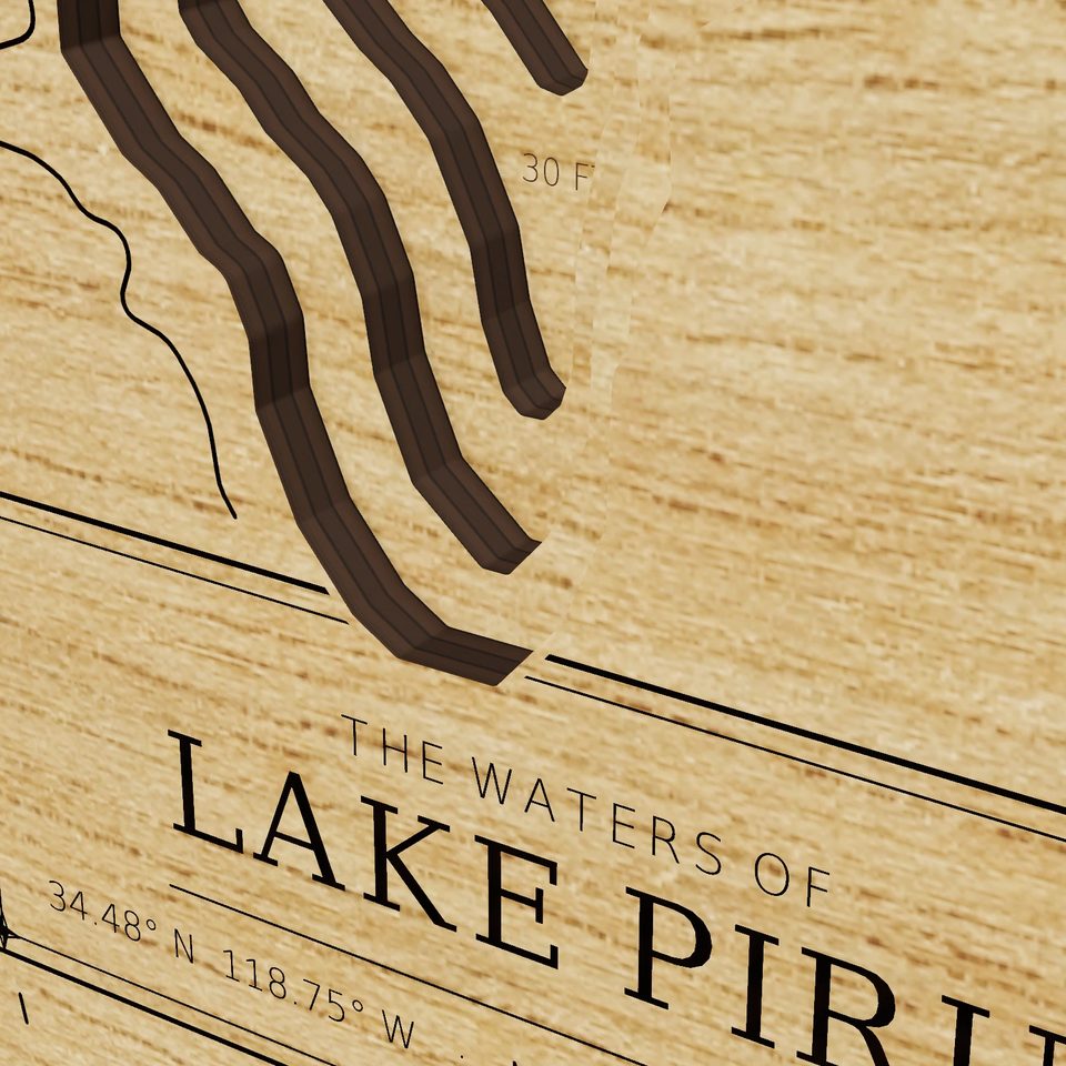 Lake Piru 3D wood map, detail view