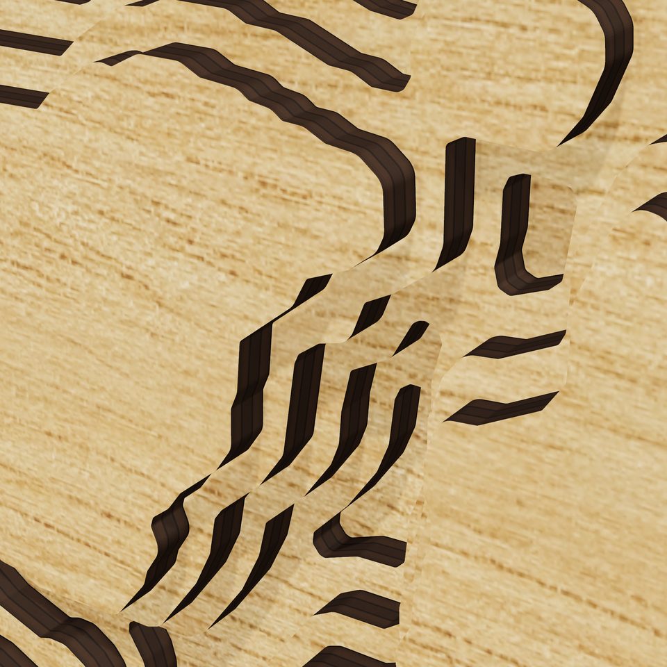 Lake Placid 3D wood map, detail view