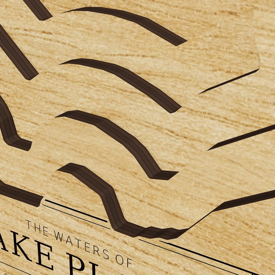Lake Placid 3D wood map, detail view