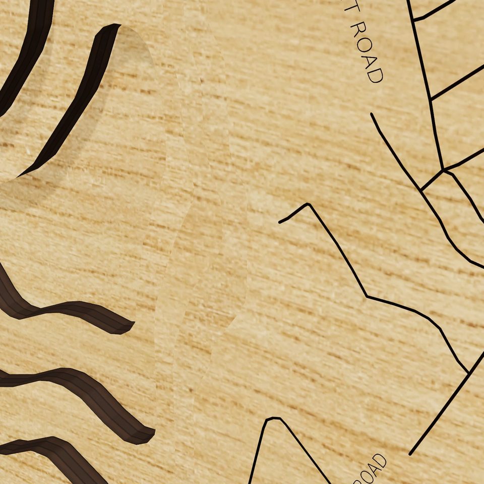 Lake Pocotopaug 3D wood map, detail view