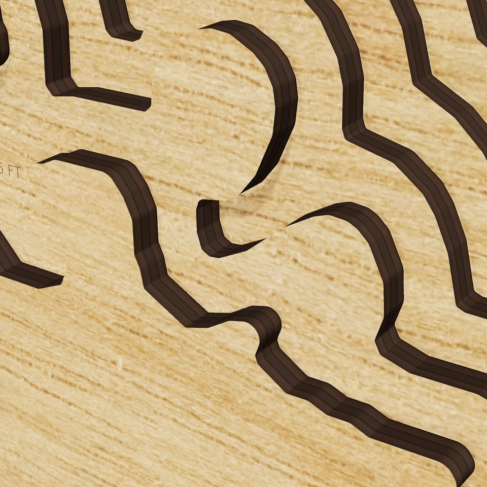 Lake Poinsett 3D wood map, detail view