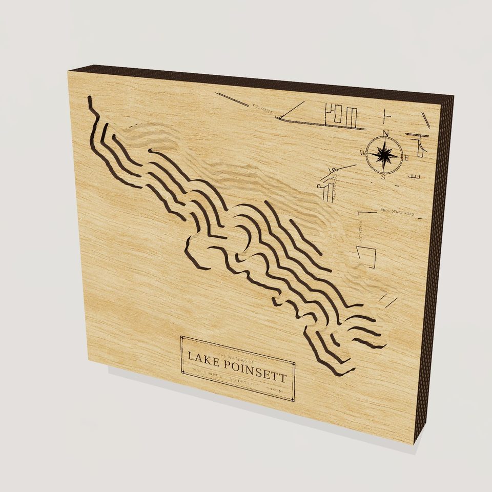 Lake Poinsett 3D wood map, hero view