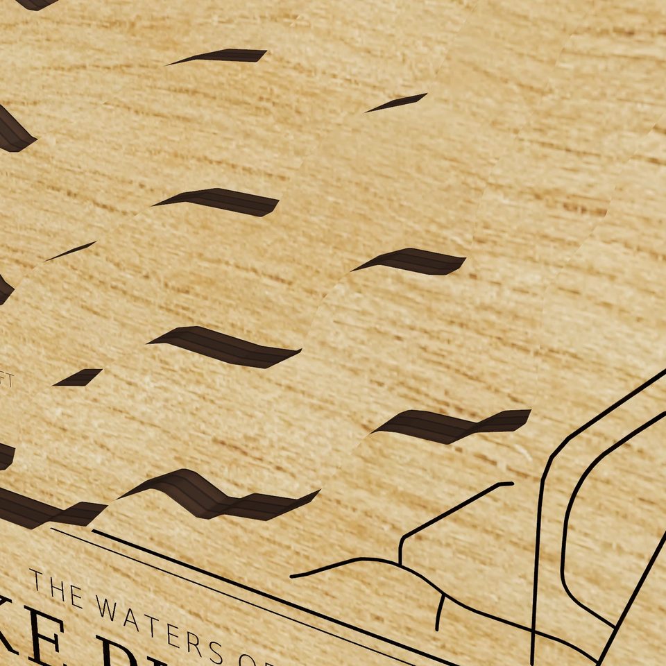 Lake Pulaski 3D wood map, detail view