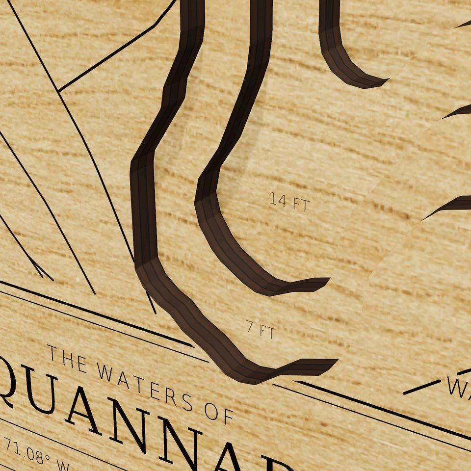 Lake Quannapowitt 3D wood map, detail view