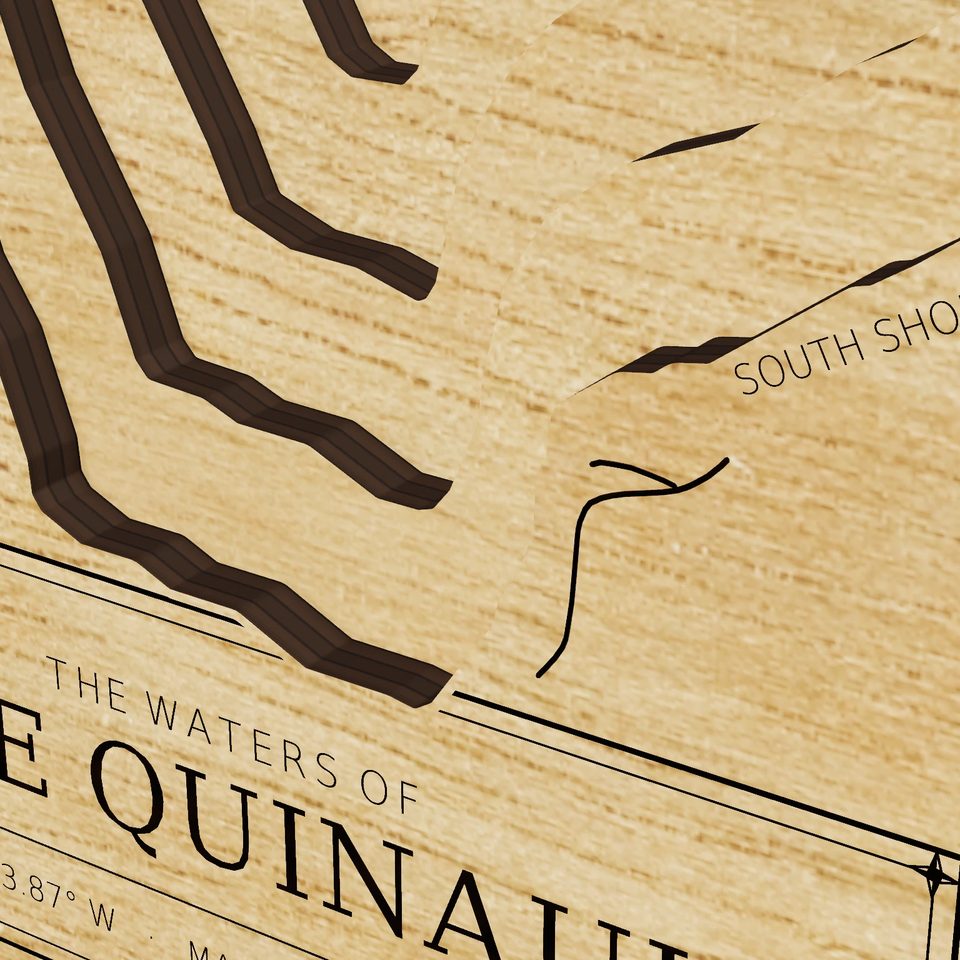 Lake Quinault 3D wood map, detail view