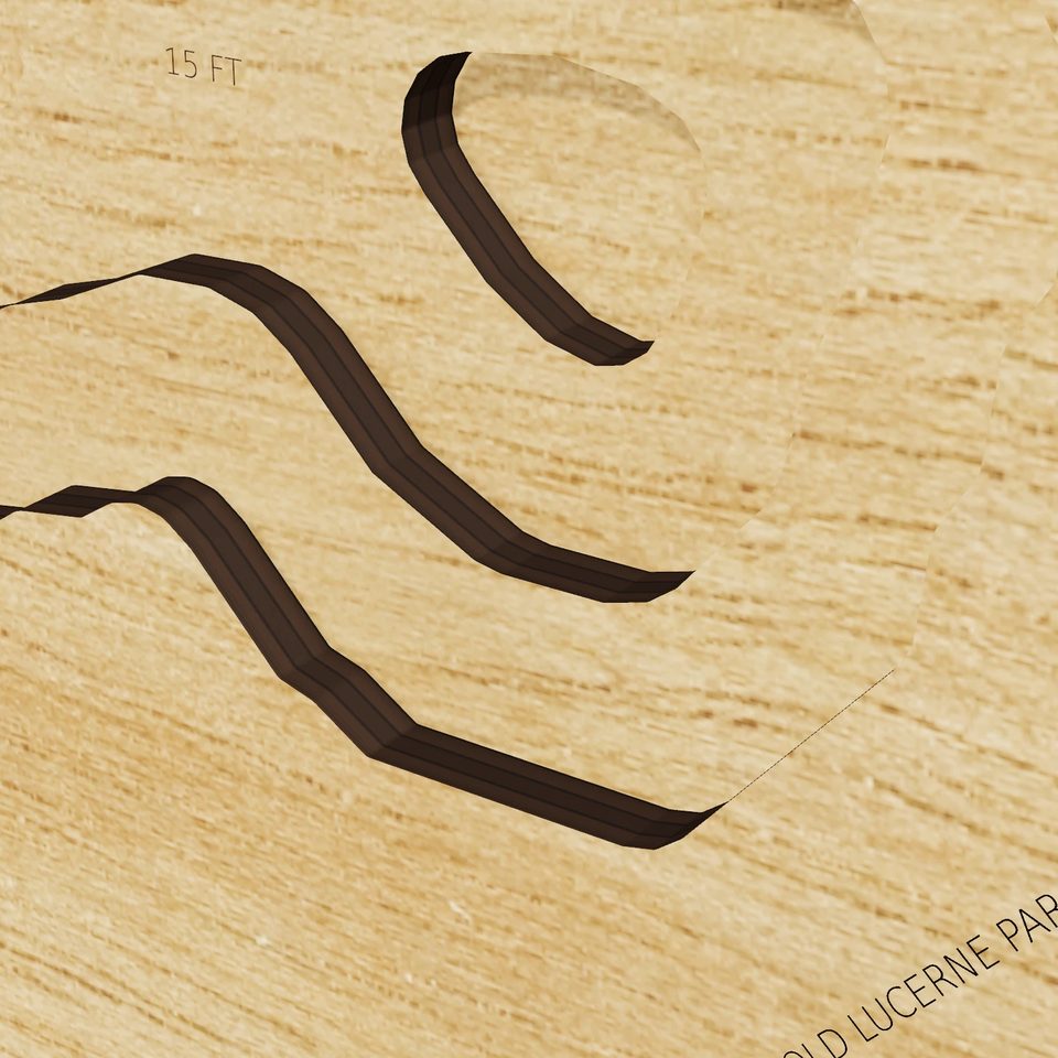 Lake Rochelle 3D wood map, detail view