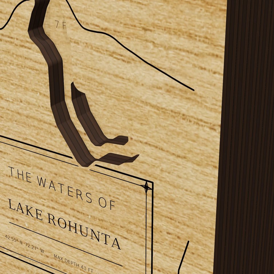 Lake Rohunta 3D wood map, detail view