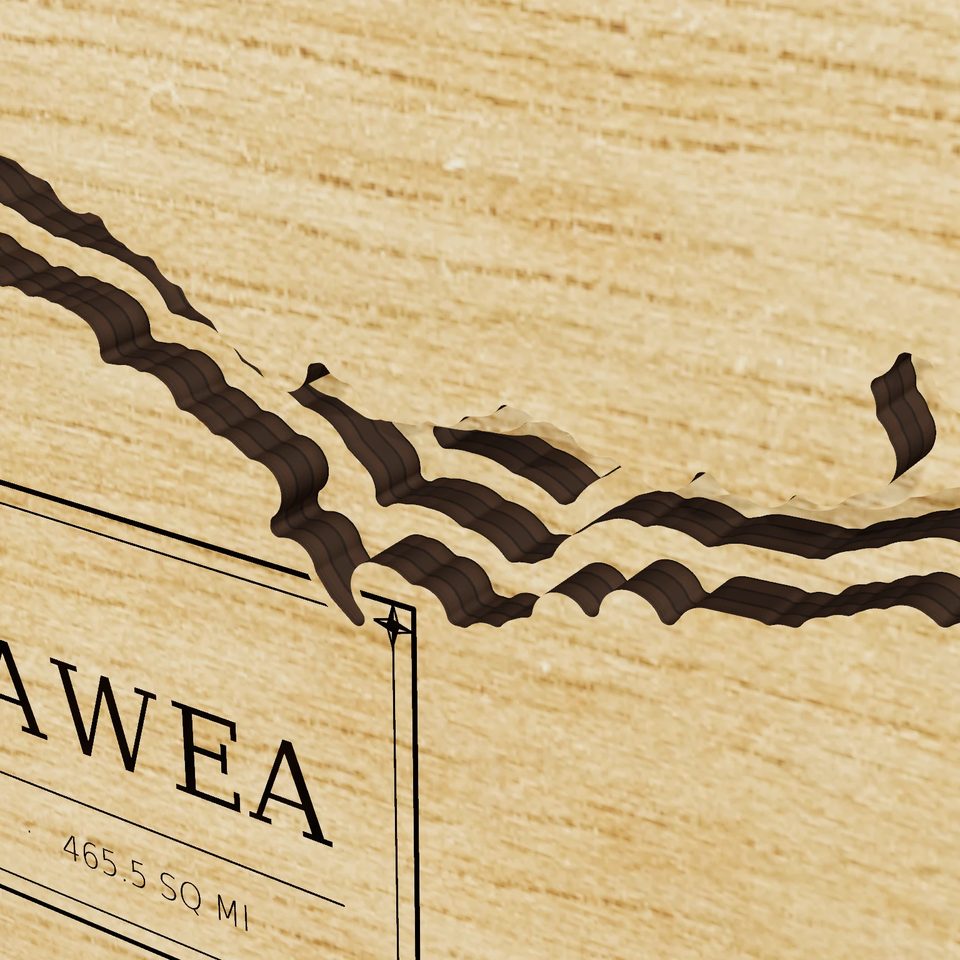 Lake Sakakawea 3D wood map, detail view
