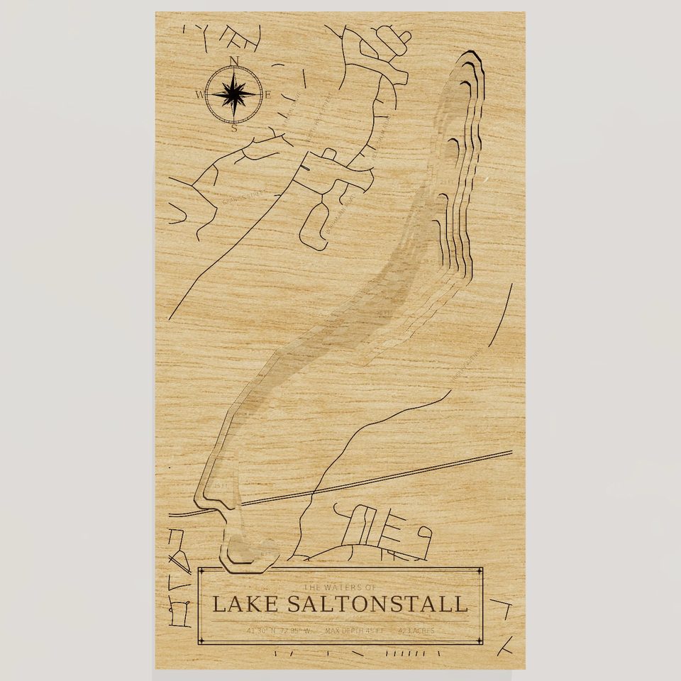 Lake Saltonstall 3D wood map, front view