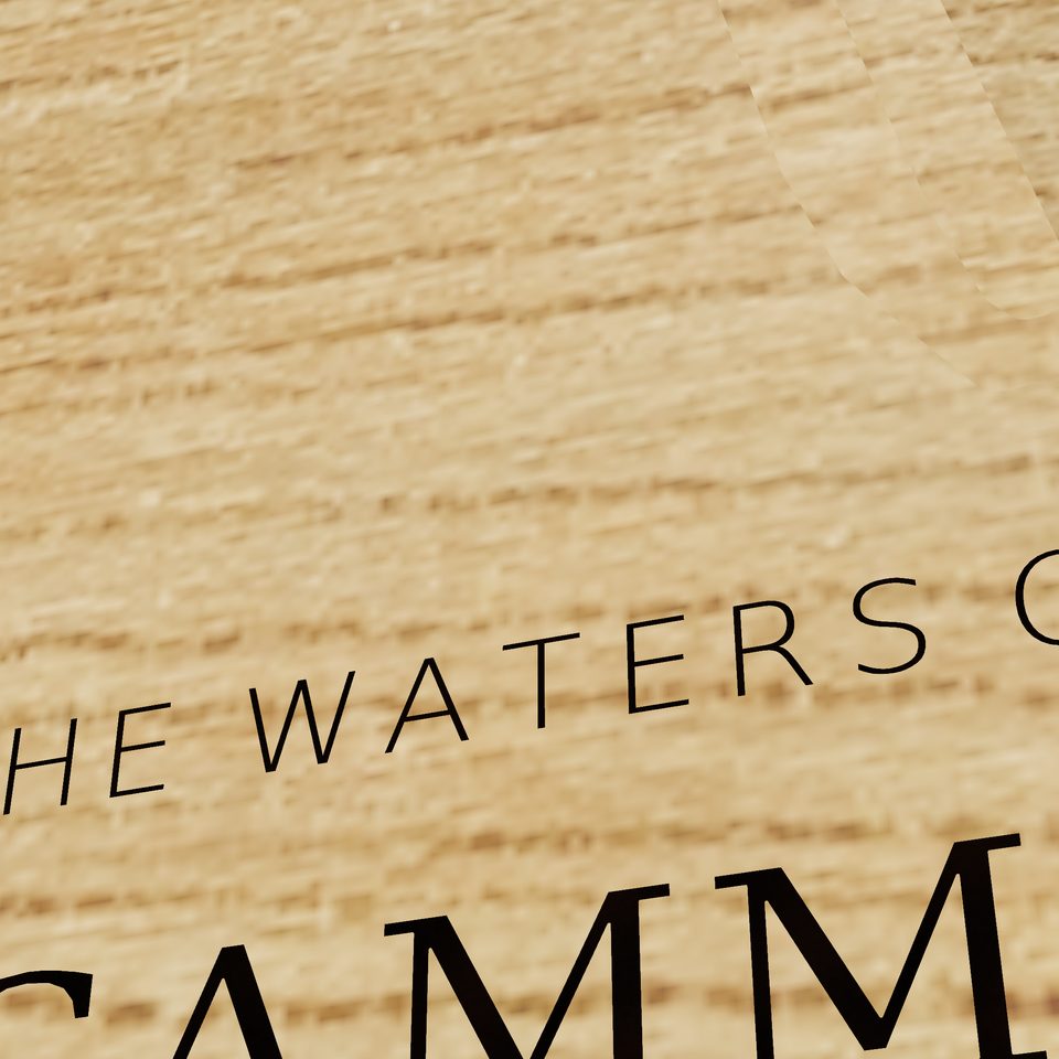 Lake Sammamish 3D wood map, title view