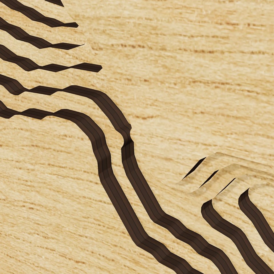 Lake Sarah 3D wood map, detail view