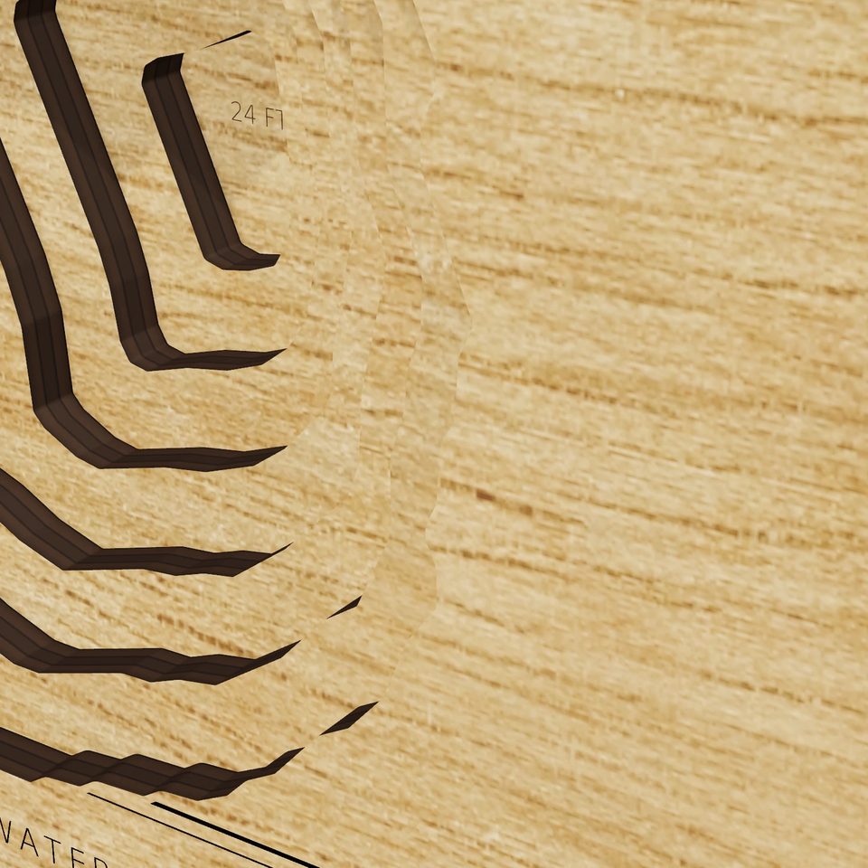 Lake Sheen 3D wood map, detail view