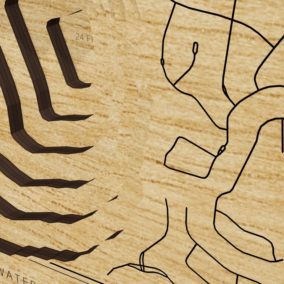 Lake Sheen 3D wood map, detail view