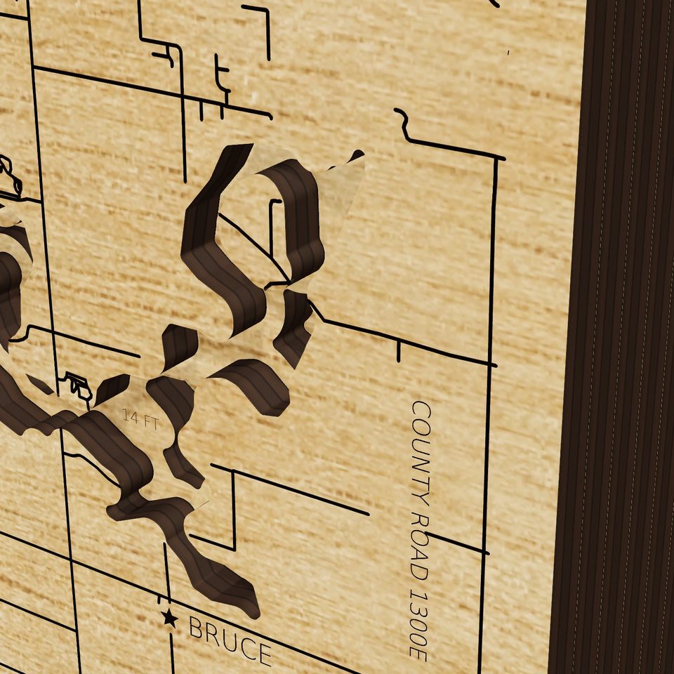 Lake Shelbyville 3D wood map, detail view