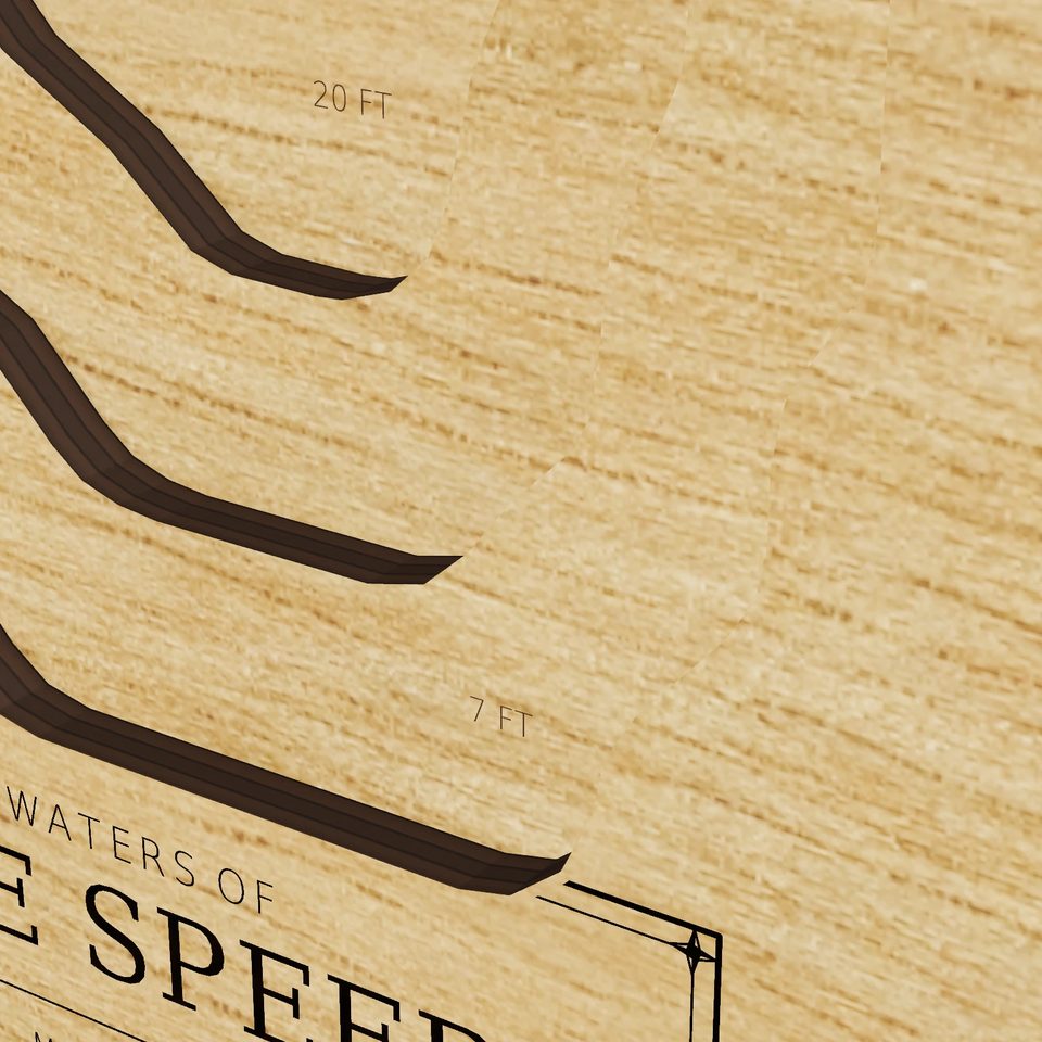 Lake Speer 3D wood map, detail view