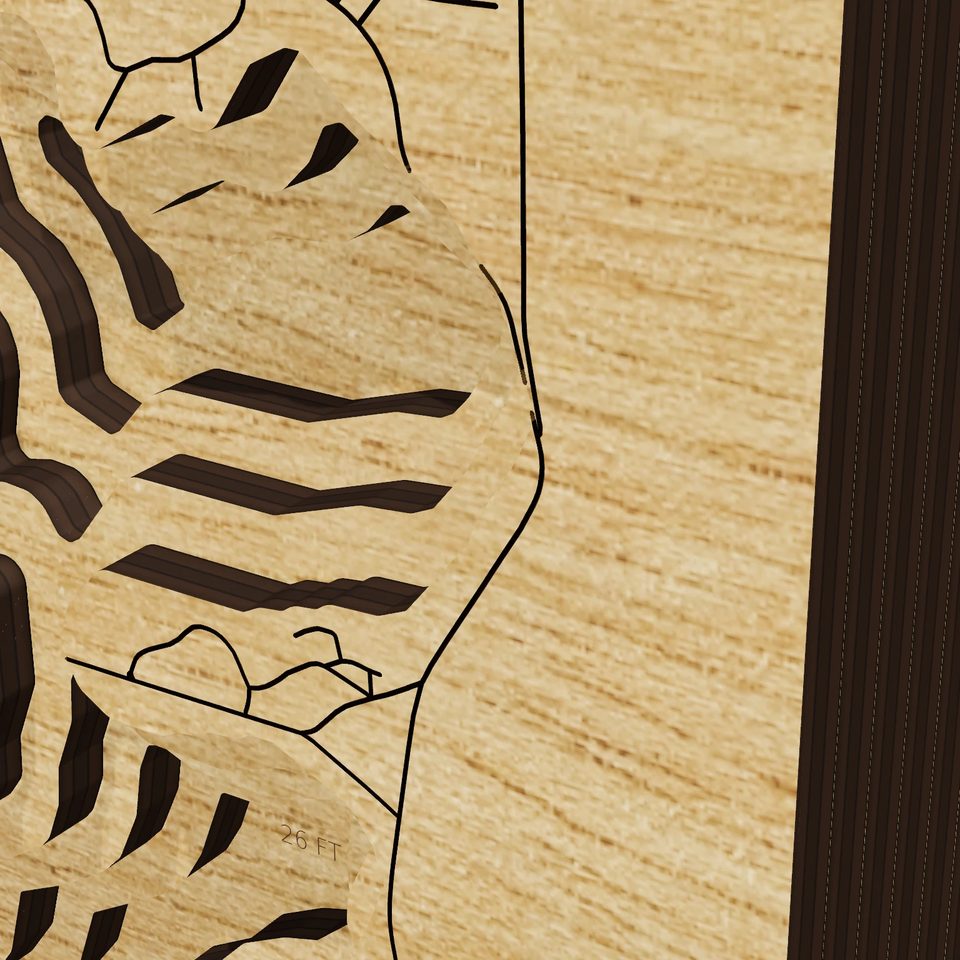 Lake Springfield 3D wood map, detail view
