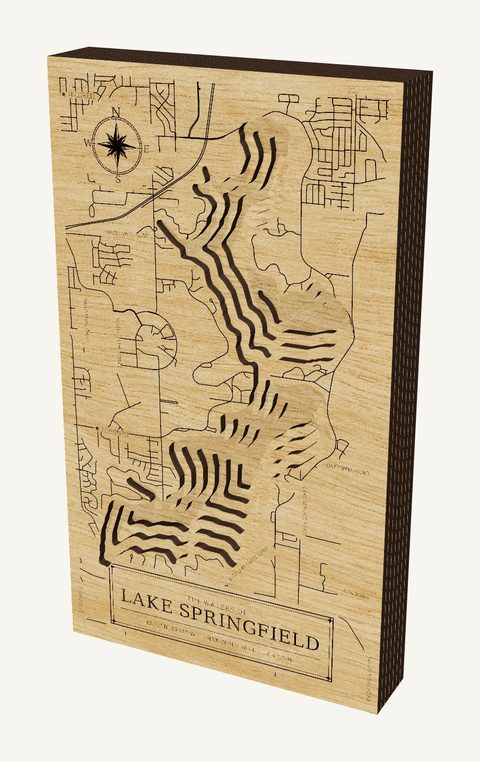Lake Springfield wood map