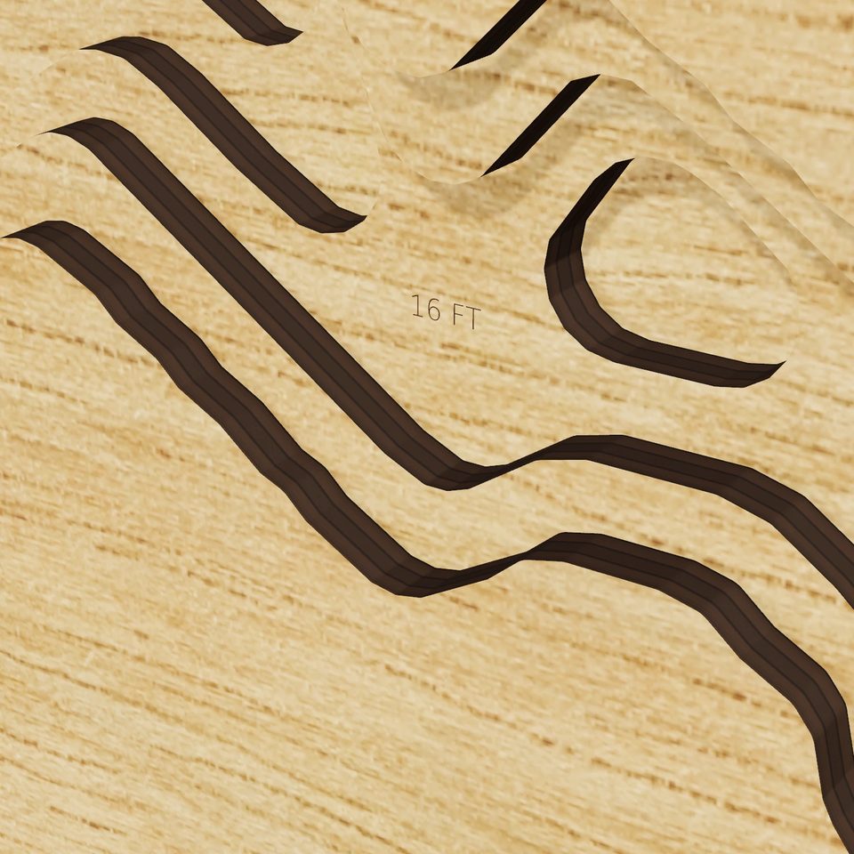 Lake Taghkanic 3D wood map, detail view