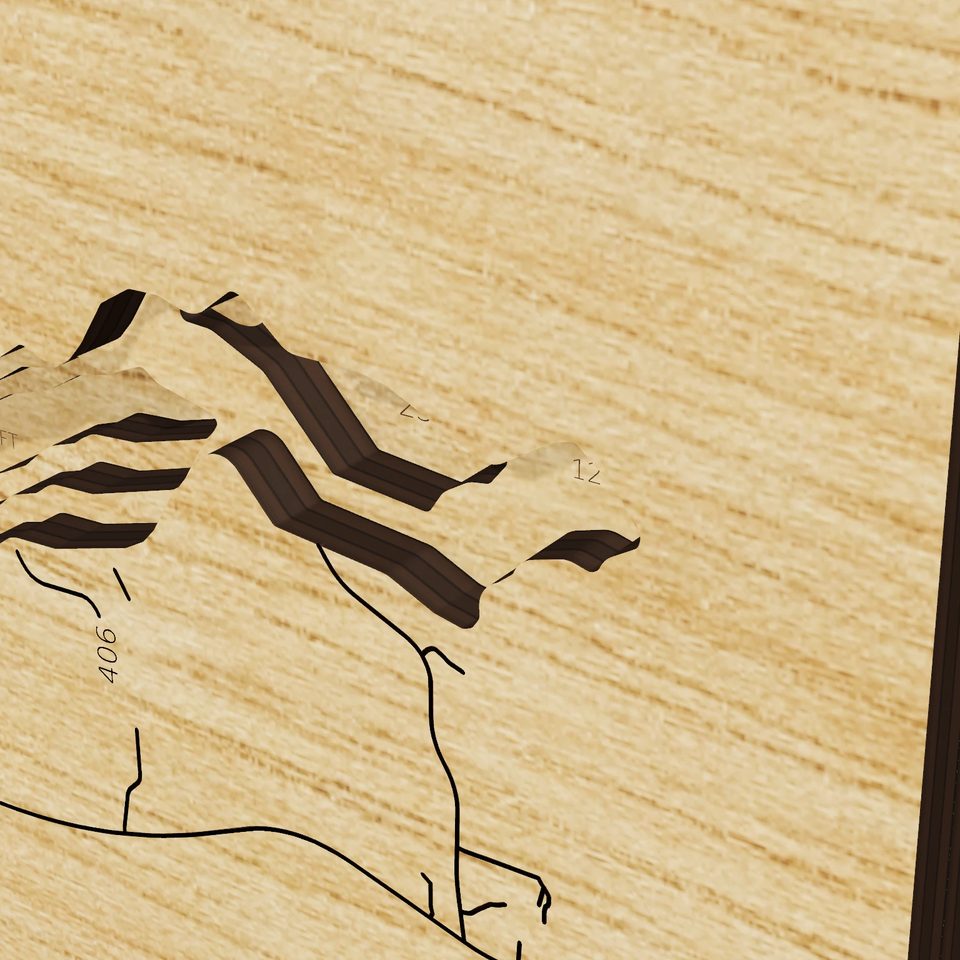 Lake Talquin 3D wood map, detail view