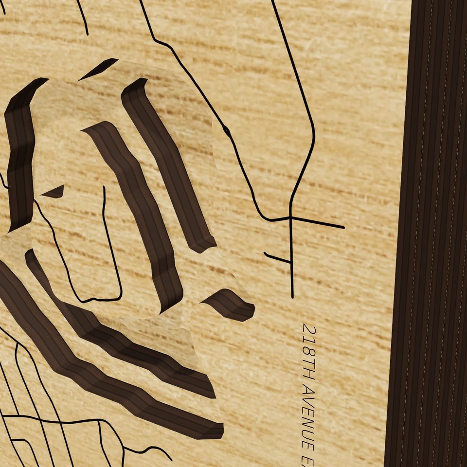 Lake Tapps 3D wood map, detail view