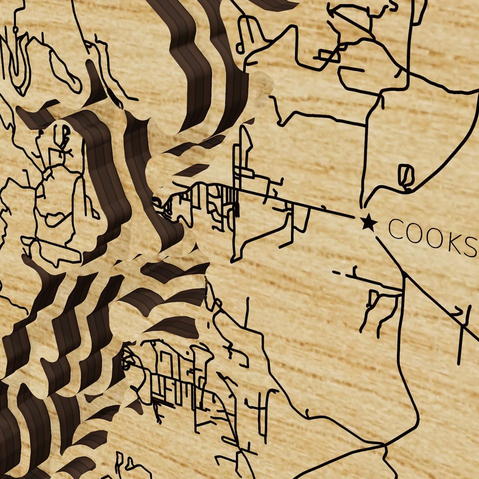Lake Tenkiller 3D wood map, detail view