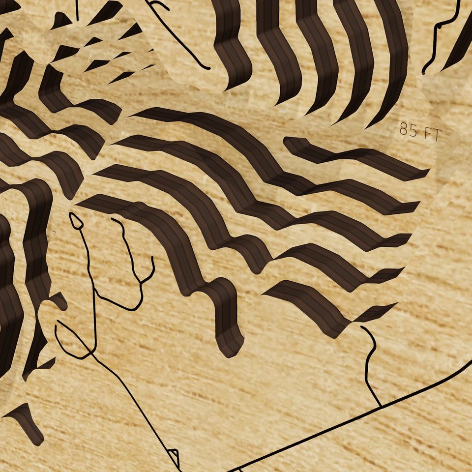 Lake Thunderbird 3D wood map, detail view
