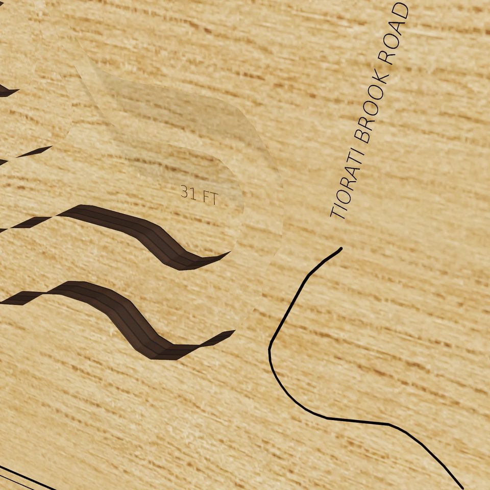 Lake Tiorati 3D wood map, detail view