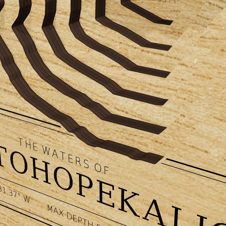 Lake Tohopekaliga 3D wood map, detail view