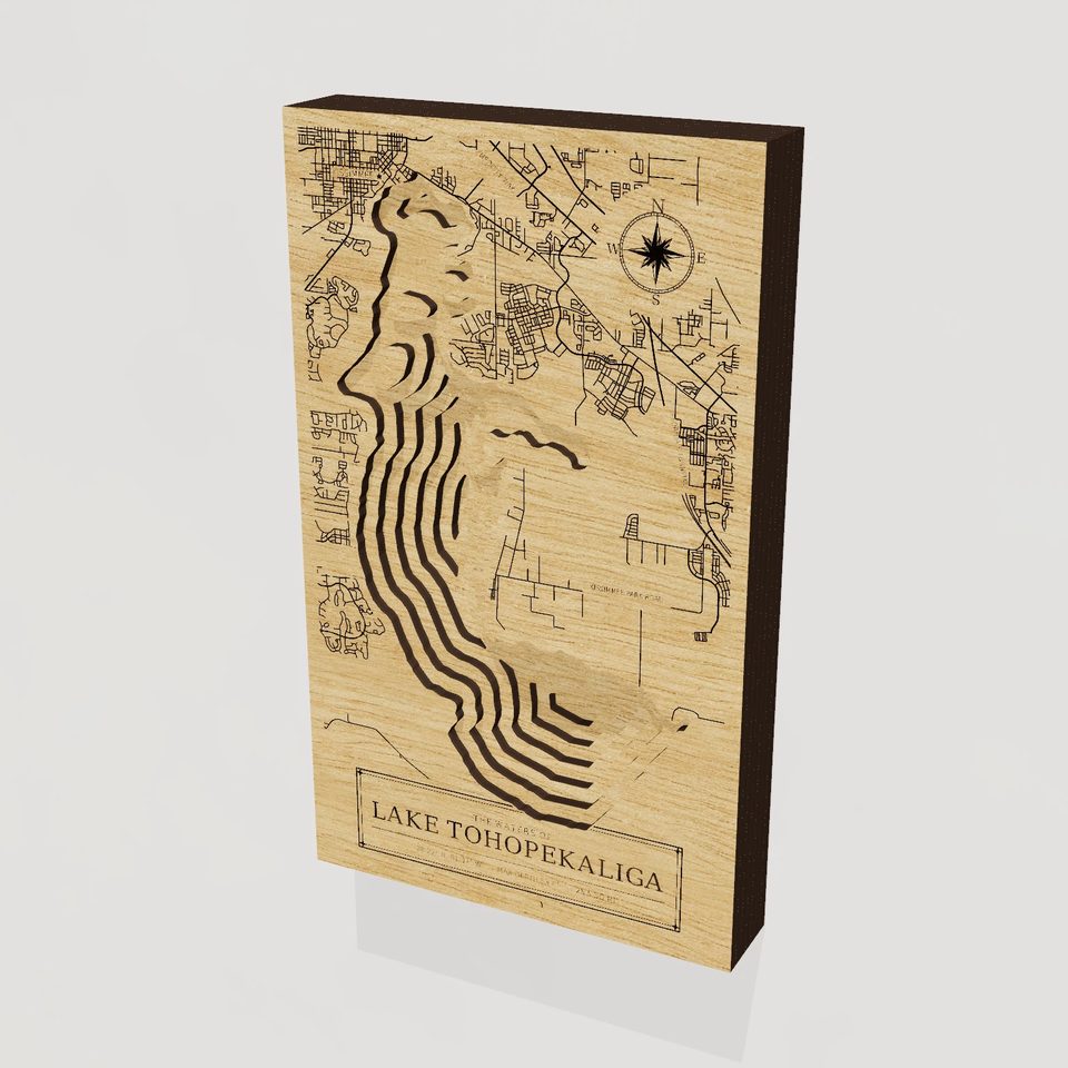 Lake Tohopekaliga 3D wood map, hero view