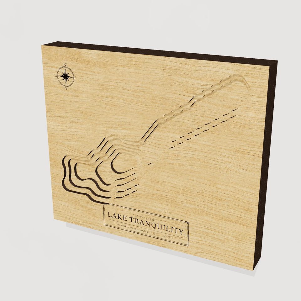Lake Tranquility 3D wood map, hero view