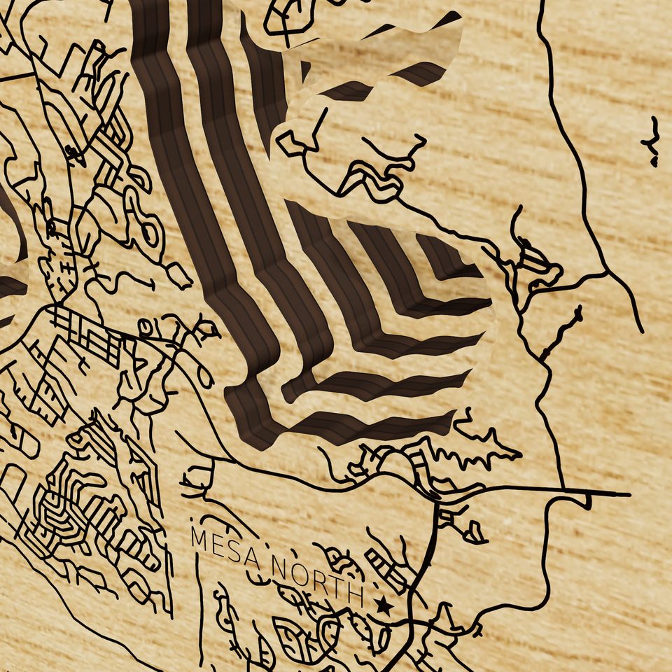 Lake Travis 3D wood map, detail view