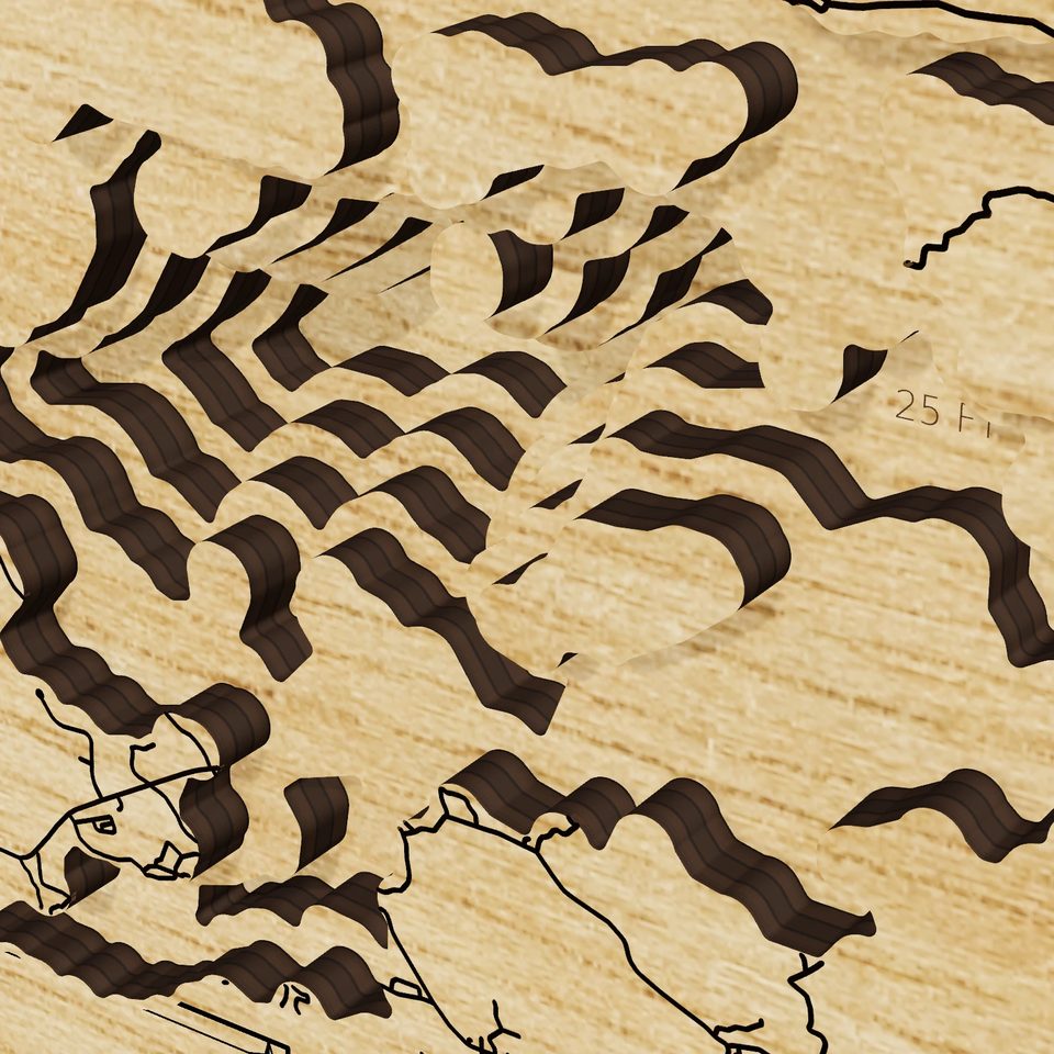 Lake Vermilion 3D wood map, detail view