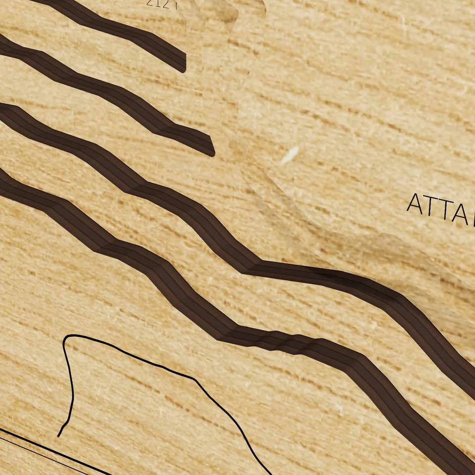 Lake Verret 3D wood map, detail view