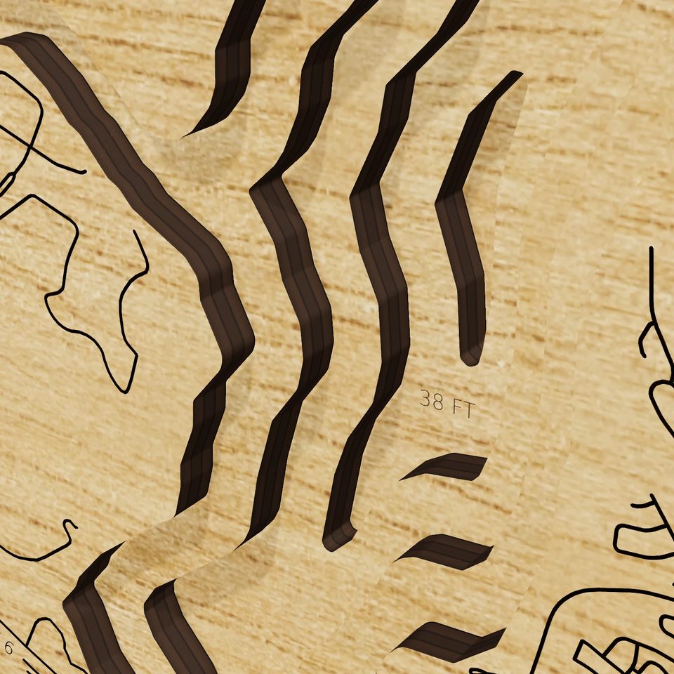 Lake Waco 3D wood map, detail view