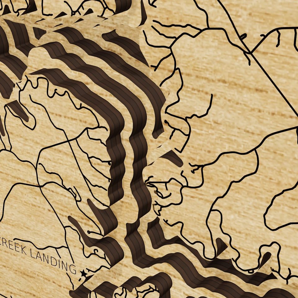 Lake Wateree 3D wood map, detail view