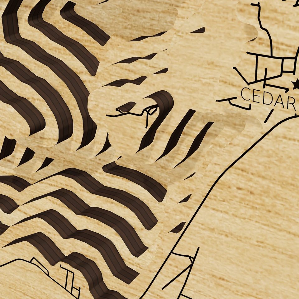 Lake Weiss 3D wood map, detail view