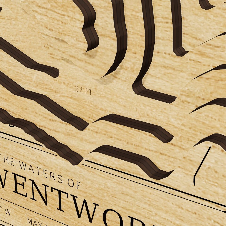 Lake Wentworth 3D wood map, detail view