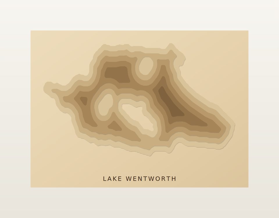 Lake Wentworth 3D wood map, preview view