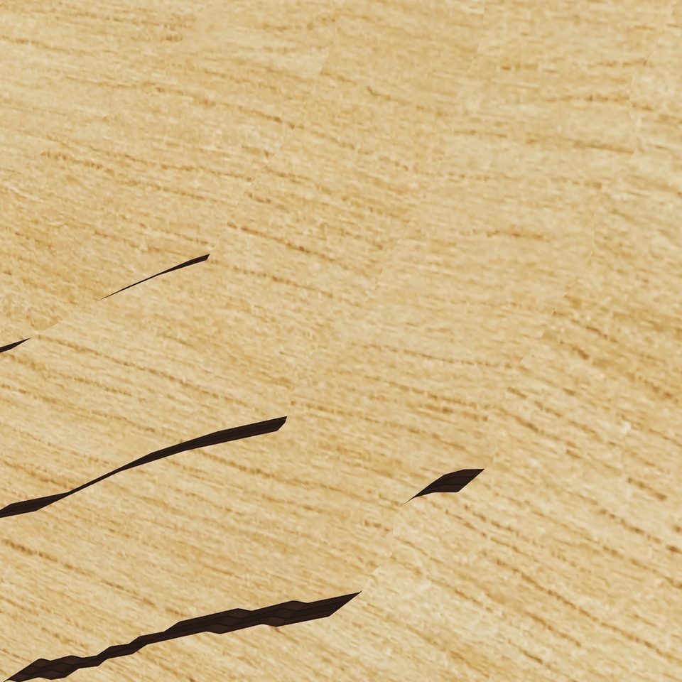 Lake Weohyakapka 3D wood map, detail view