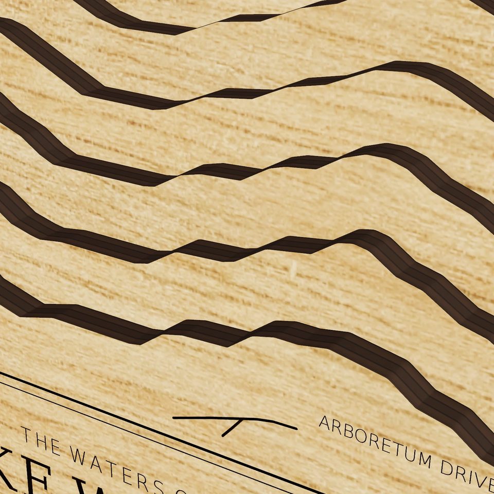 Lake Wingra 3D wood map, detail view